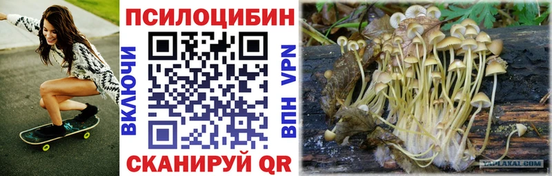 Псилоцибиновые грибы прущие грибы  закладки  Слюдянка 